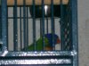 103_0126.jpg