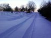 snow tracks.jpg