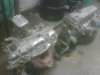 IMG00031-20100309-1534.jpg