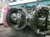 IMG00128-20100625-1450.jpg