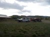 Roland, Great White Buffalo looking west Montana s.JPG