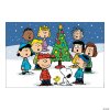 peanuts-christmas-backdrop-banner-3-pc-~13710879.jpg