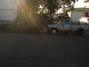 DSC01231.jpg