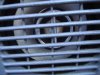 DSC03841.jpg