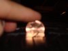 DSC03993.jpg