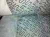 IMG_20110821_100038.jpg