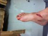 GRINDERLEG2.jpg