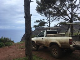 Kauai_Pirate