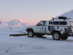 Arctic Taco