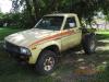 mudbug