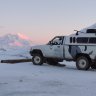 Arctic Taco