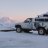 Arctic Taco