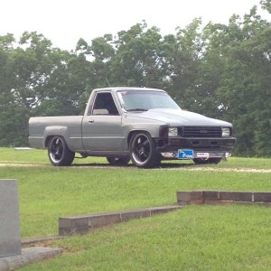 85" daily toy...