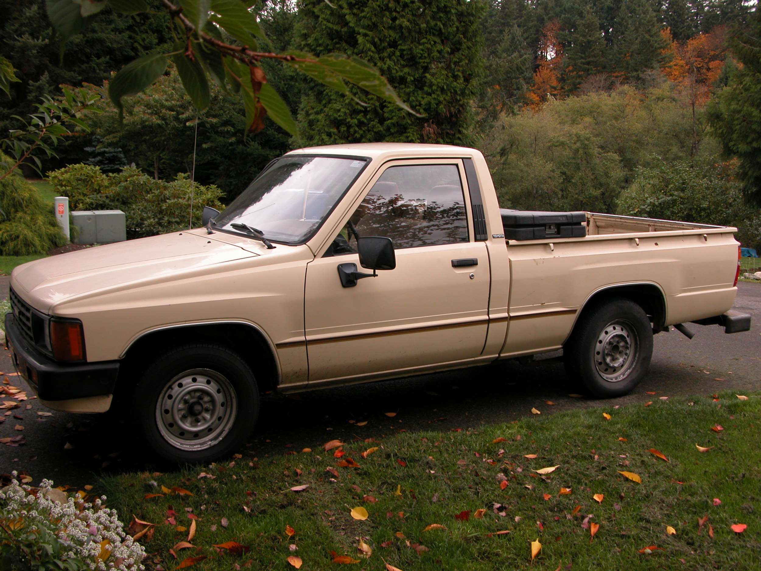 1984 bottom of the line