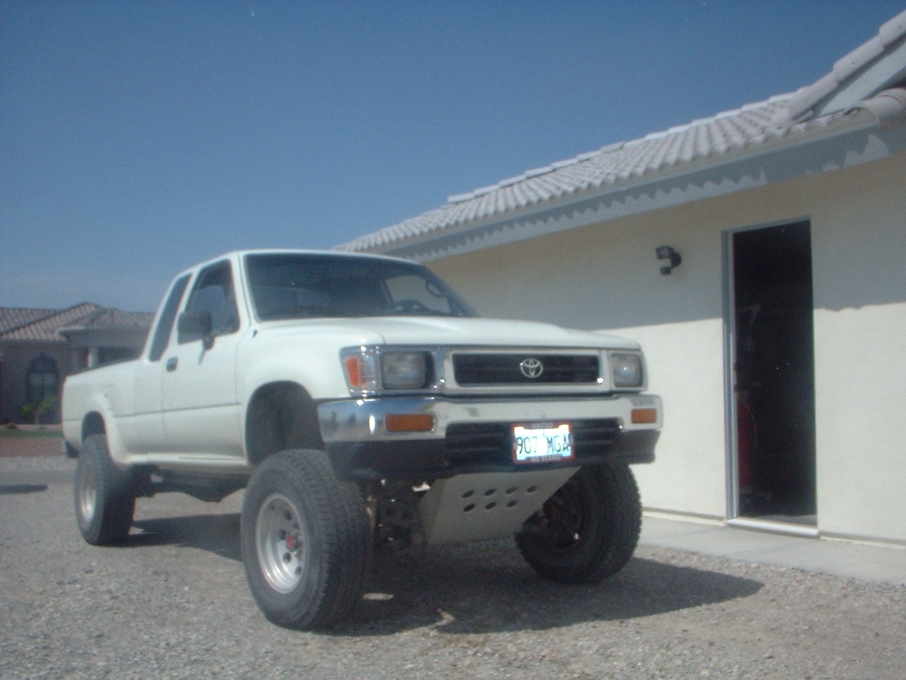 mojaverockhopper