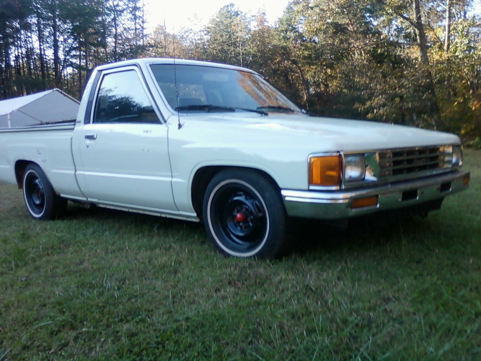 my 87 2wd base. its a show winning mini in the making.
