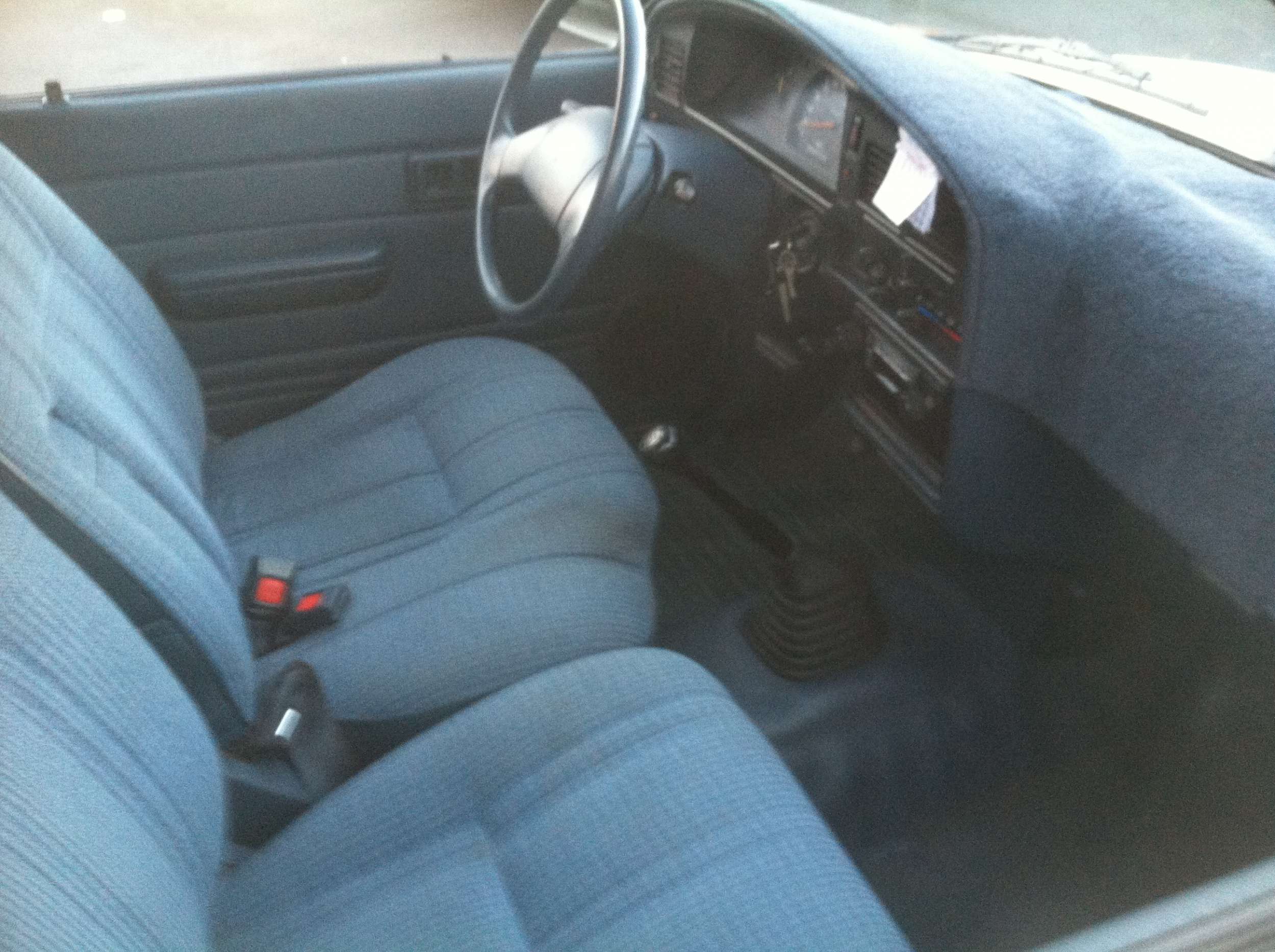photo6