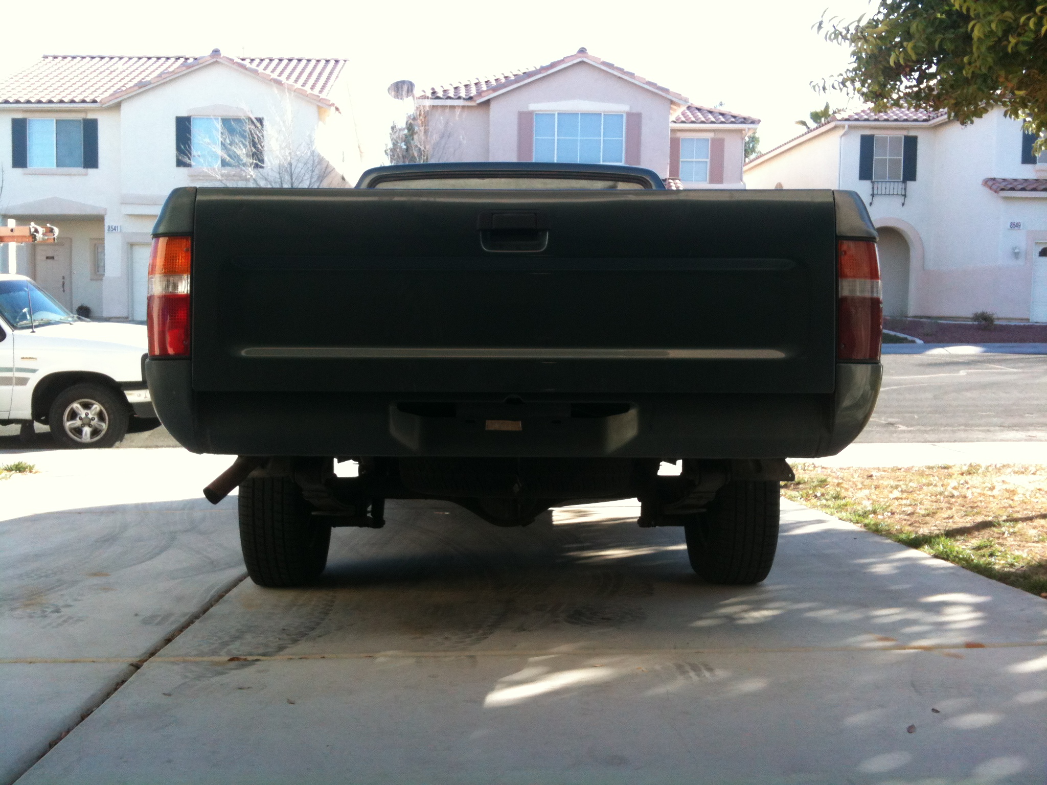 The back